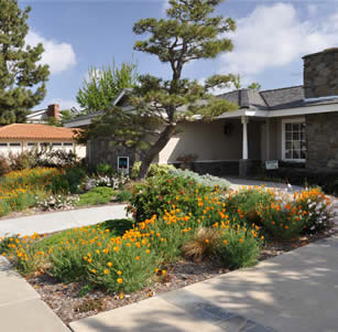 Grand Pine Garden